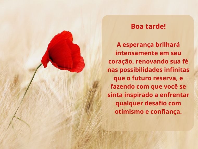 Boa tarde 02