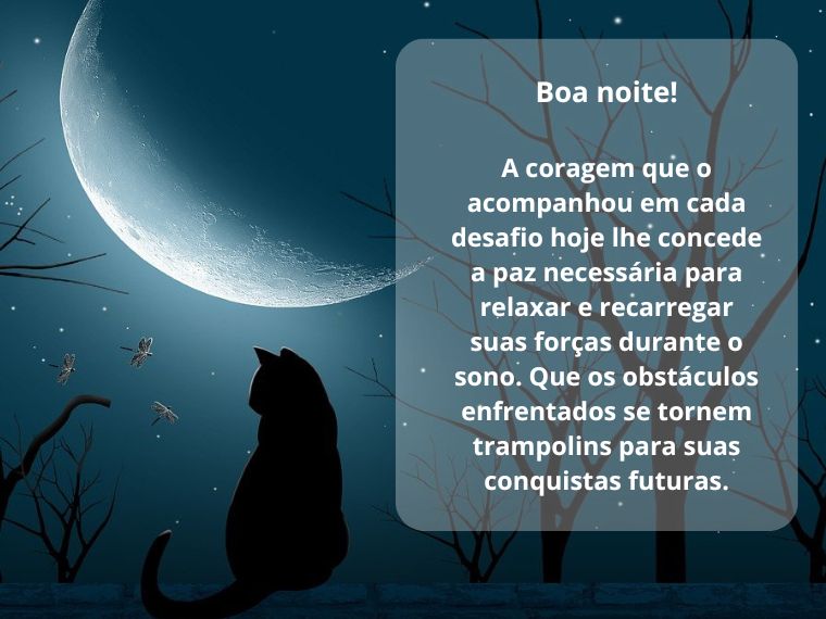 Boa noite 02
