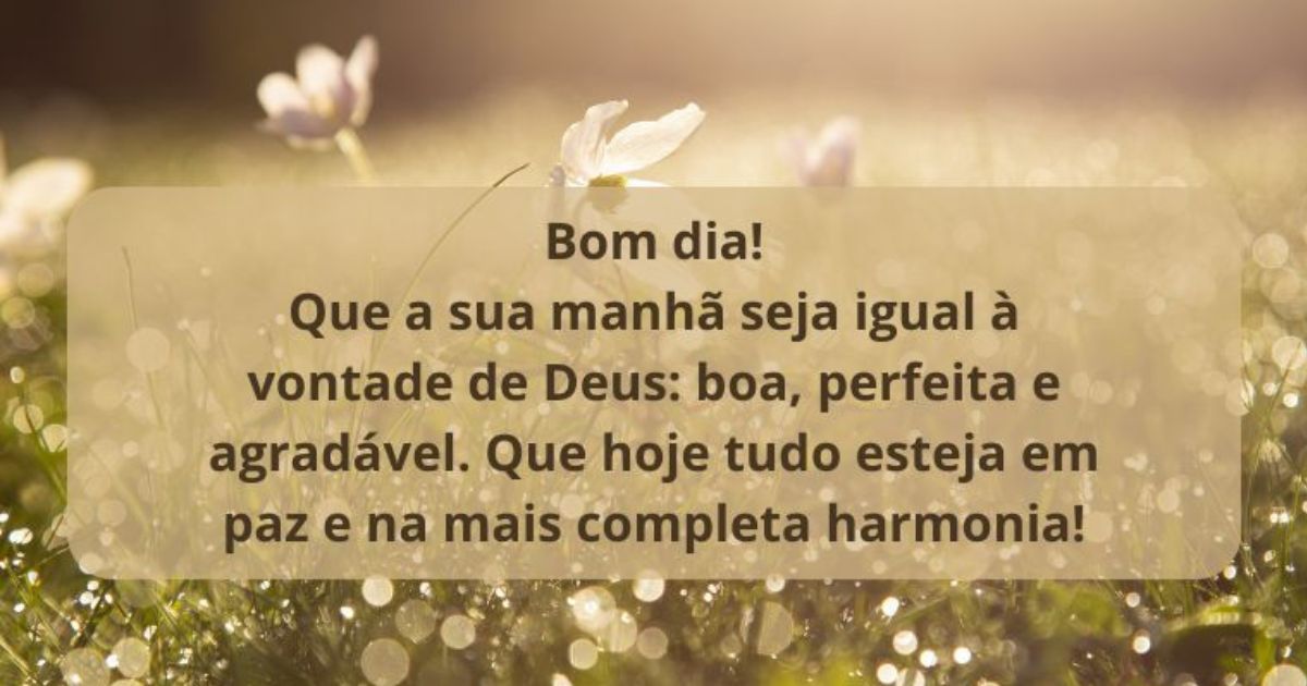 Bom dia 01